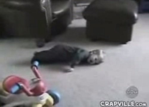 Toddler Throws Tantrum While Making Sure There’s Always An Audience. Hilarious Home Video
