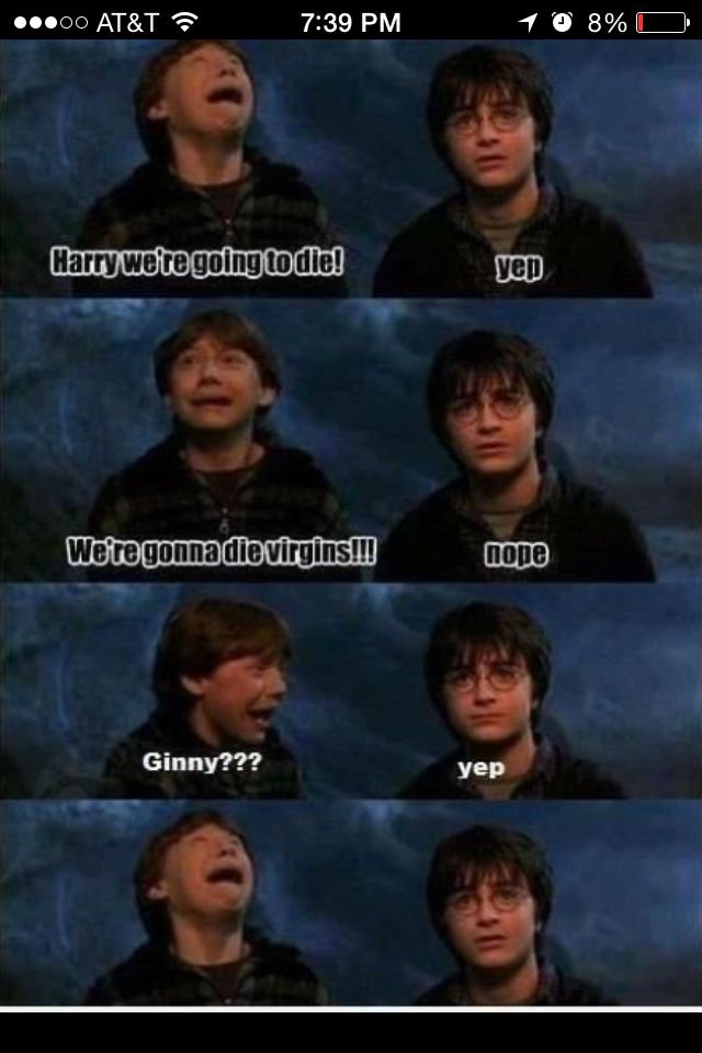 8 melhores Memes do harry Potter 