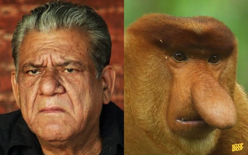 animals that look like famous people