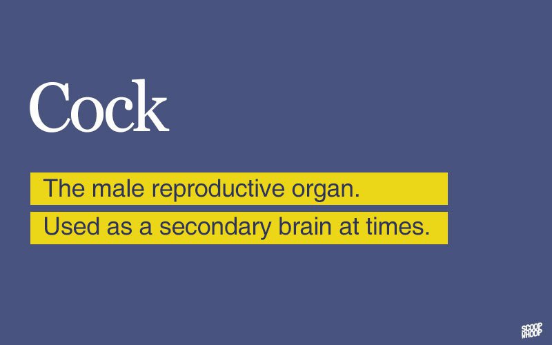 19-tongue-in-cheek-urban-dictionary-definitions-of-dirty-words-that