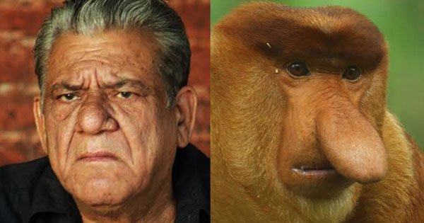 10 Indian Celebrities And Their Animal Lookalikes