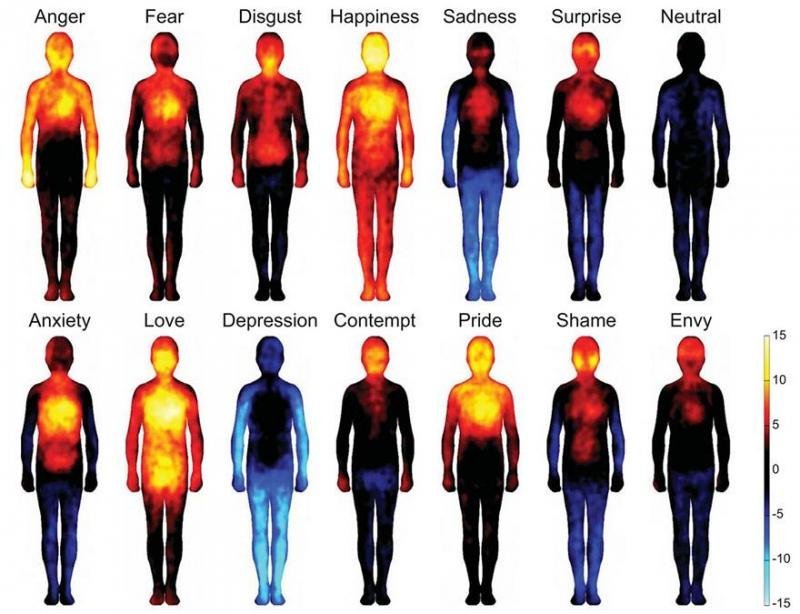 These Heat Maps Show Exactly How Different Emotions Affect Your Body