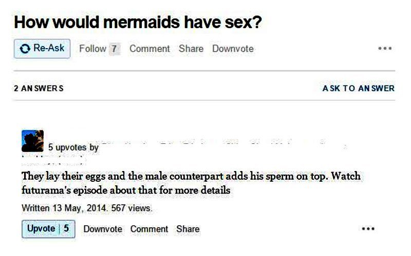 30 Funny Quora Questions People Asked Stupidest Questions People