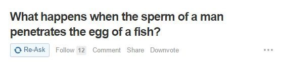 Funny Quora Questions People Asked