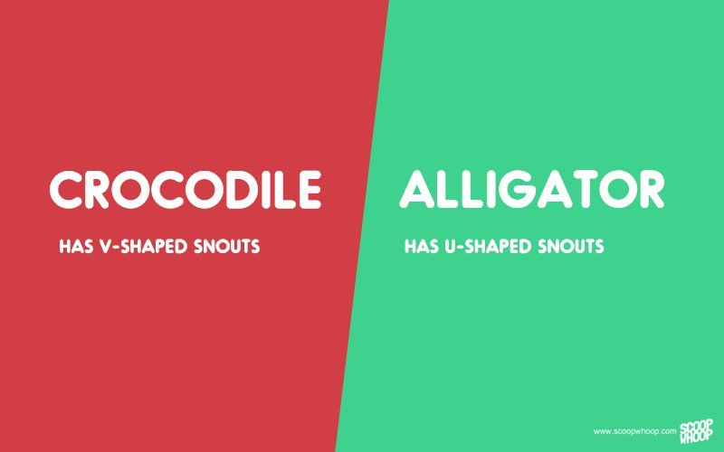 20 Sets Of Words Which Sound Similar But Have Different Meanings