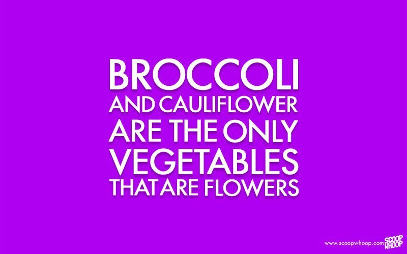 100 Of The Most Random Facts That Are Perfect To Kick Start Your Day