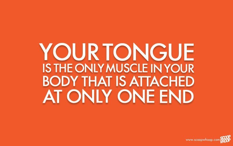 100 Of The Most Random Facts That Are Perfect To Kick Start Your Day