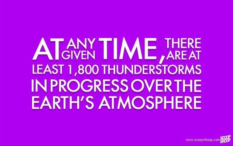 100 Of The Most Random Facts That Are Perfect To Kick Start Your Day