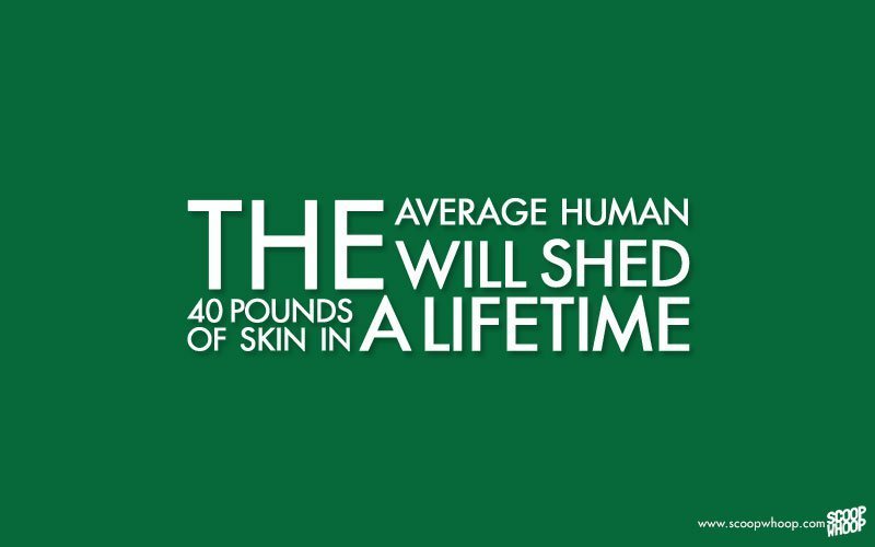 100 Of The Most Random Facts That Are Perfect To Kick Start Your Day