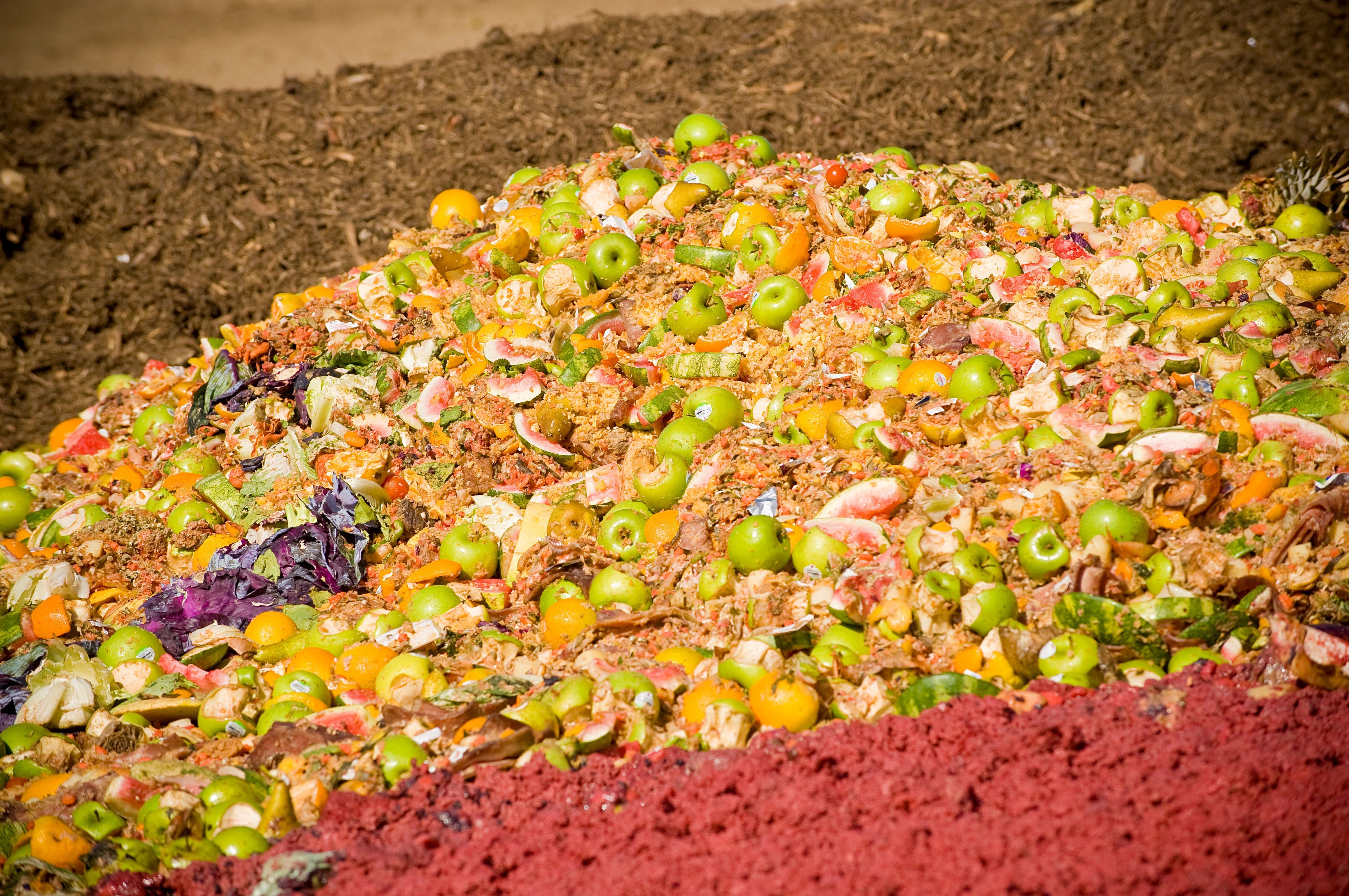 Пищевые отходы утилизация. Пищевые отходы. Утилизация пищевых отходов. Органические отходы. Для пищевых отходов.