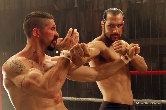 combat sports fighting movies