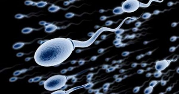 Facing shortage, british sperm bank tells men to ‘prove their worth’ - scoopwhoop