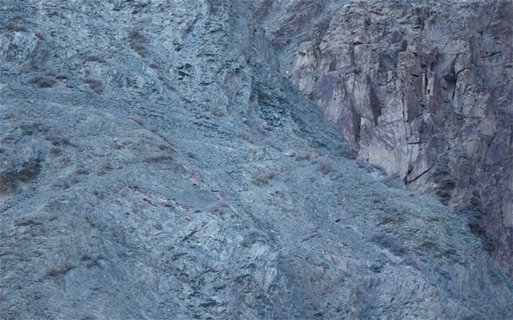 Can You Spot The Snow Leopard In This Pic Before It Hunts You Down? -  ScoopWhoop