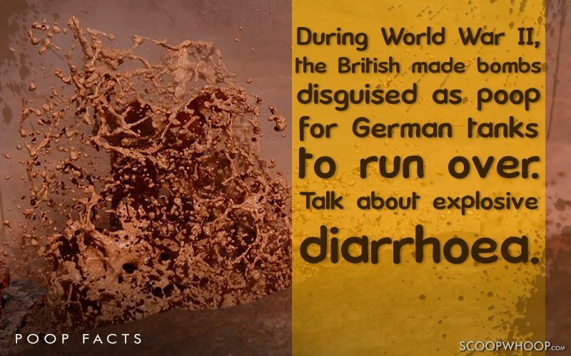 16 Interesting Things You Never Knew About Poop ScoopWhoop