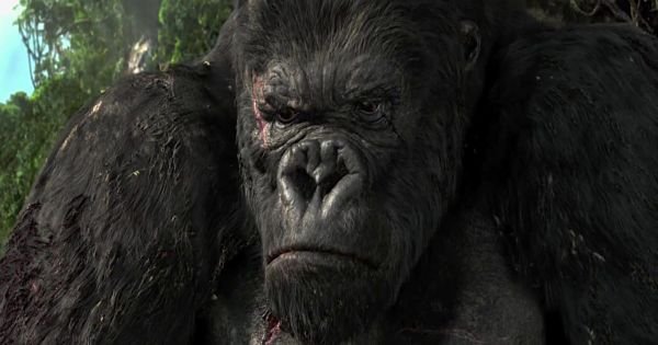 Here’s Why The Real King Kong Really Went Extinct - ScoopWhoop