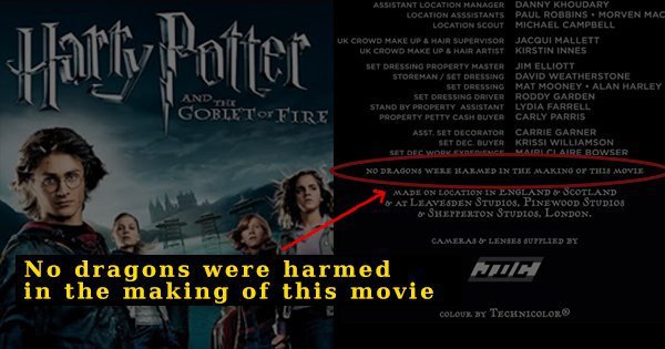 11 Times Movie Credits Had Interesting Hidden Things That You Might've  Missed