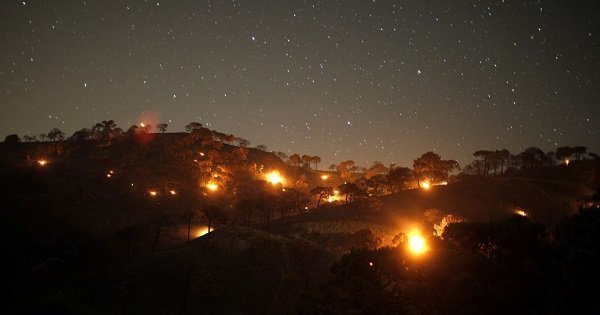 Night temperatures are rising