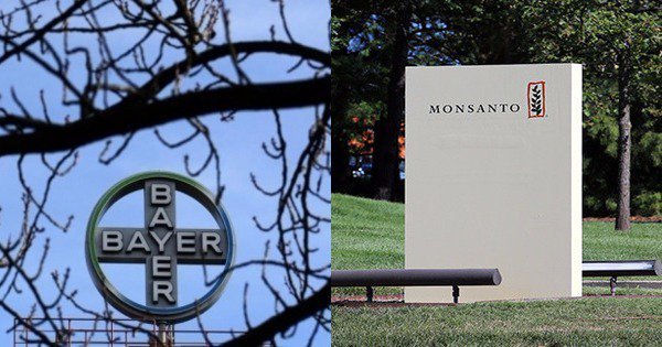 Bayer Offers To Buy Monsanto For A Whopping $62 Billion