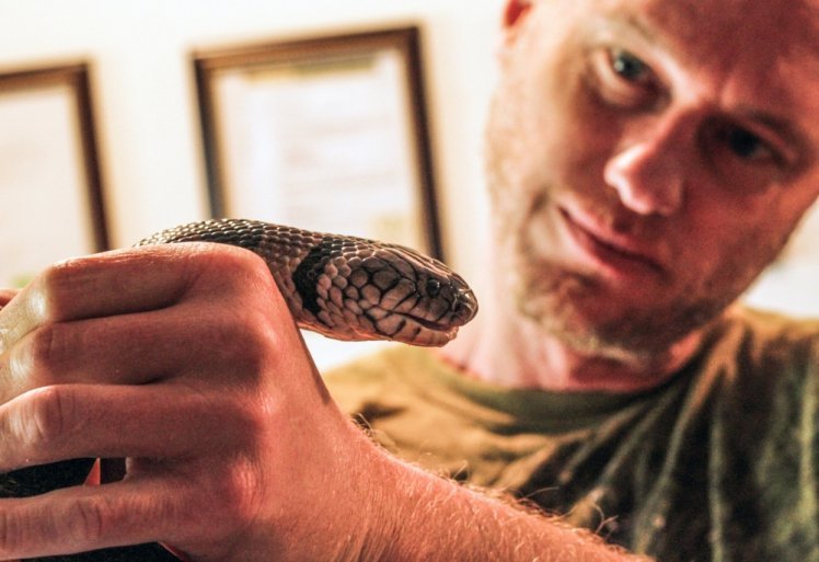 Here’s The Curious Case Of The Guy Who Can Survive Any Venomous Snake