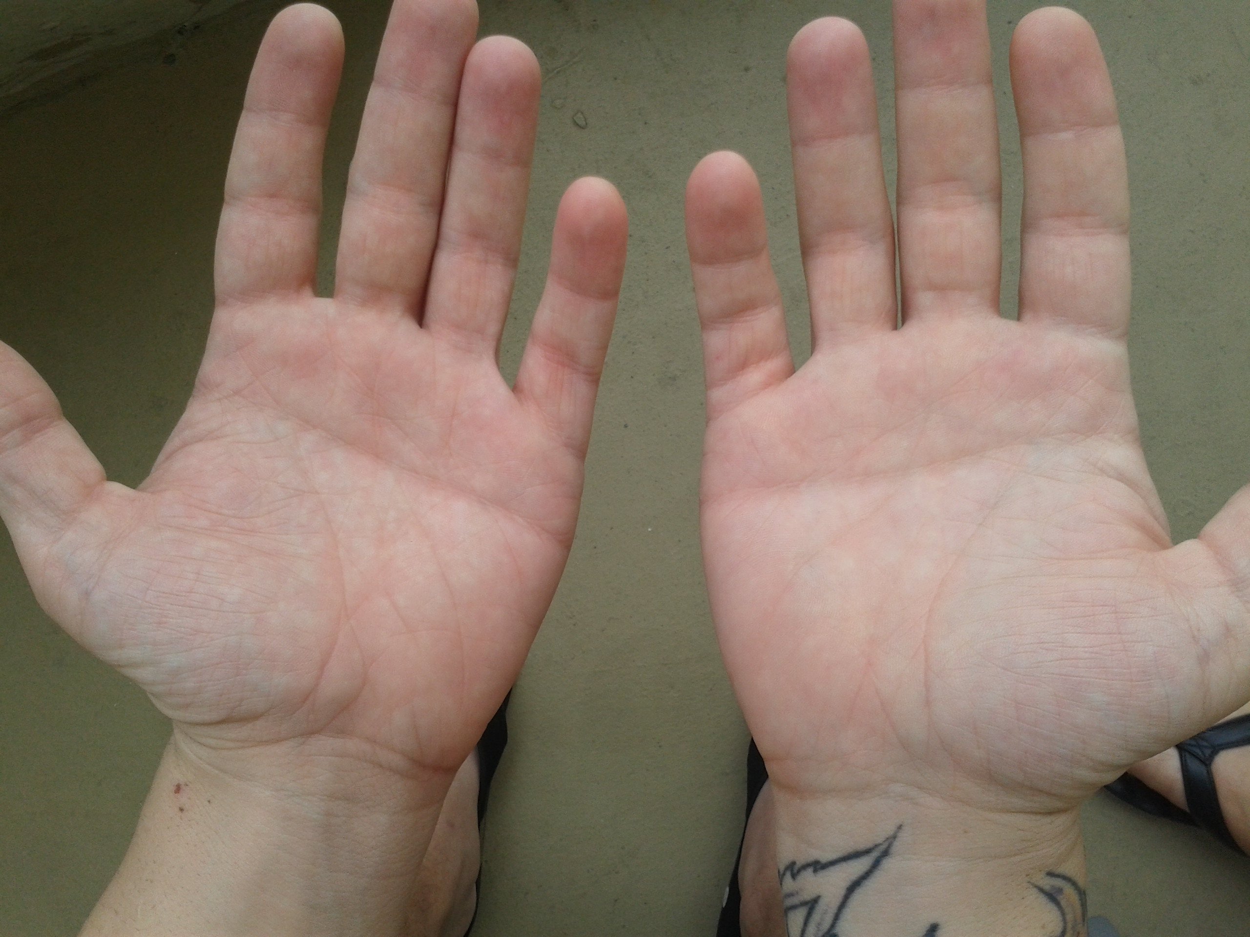 palmistry-insights-decoding-the-meaning-of-the-half-moon-on-your-palm