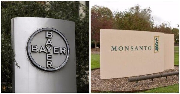 German Chemicals Giant Bayer Buys American Pesticides Giant Monsanto ...