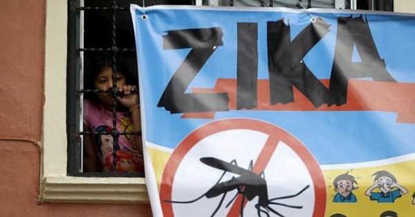 Who Declares End Of Zika Emergency But Says Virus Remains A Threat 3018