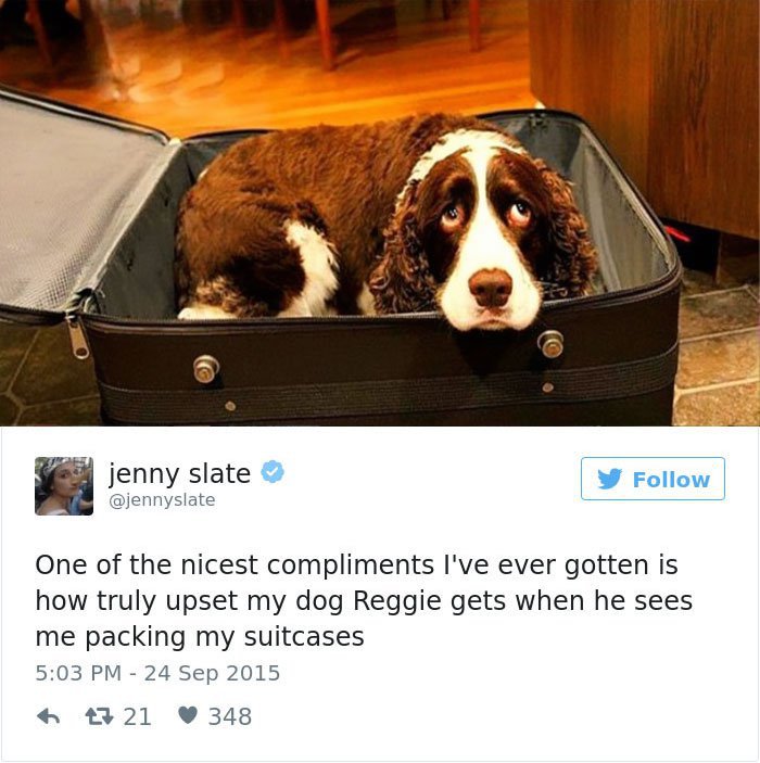 30 Of The World’s Most Adorable Dog Tweets To Remind You That Dogs ...