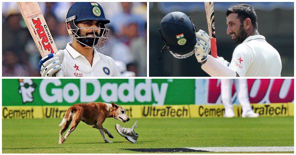 India Vs England: Kohli, Pujara And ‘Vizag Dog’ Steal The Show On ...