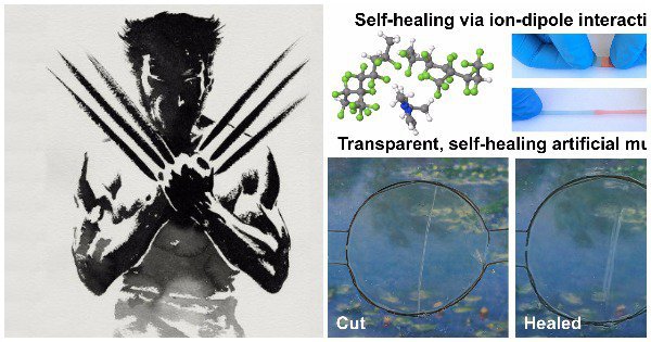You Can Now Use The New Wolverine Style Self-Healing Material To Activate Electrical Devices - ScoopWhoop