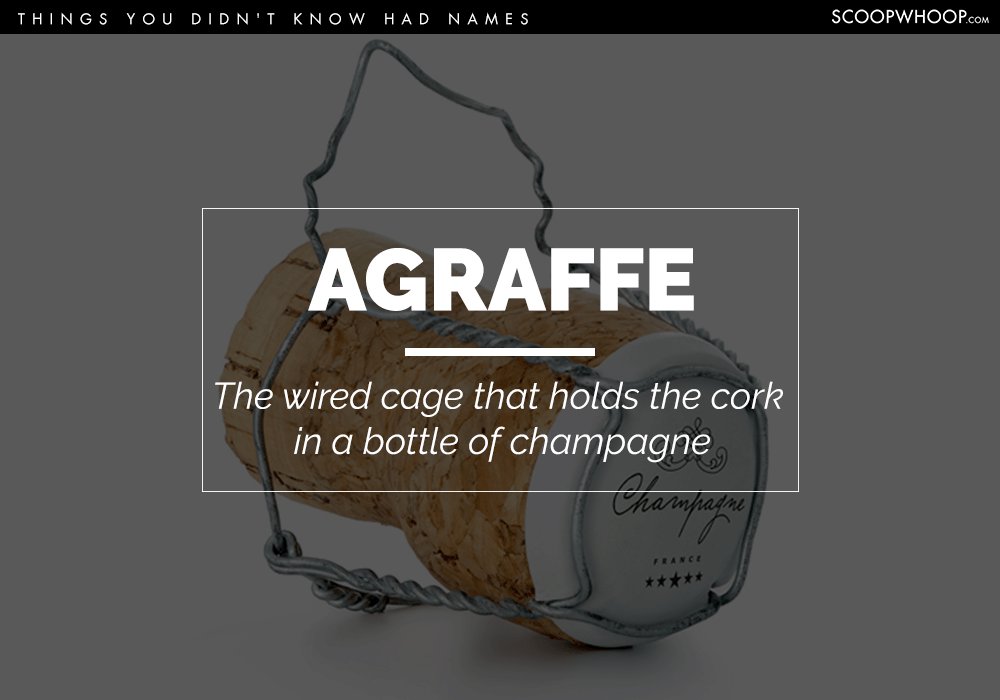 15 Things You See Every Day But Didn’t Know Had Names ScoopWhoop