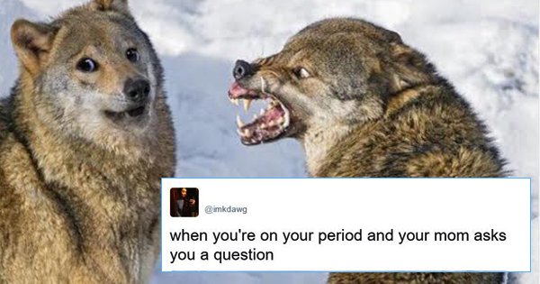 27 Bloody Hilarious Jokes On Twitter That Might Make Your Period A ...