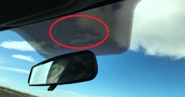 Black Dots on Your Windshield