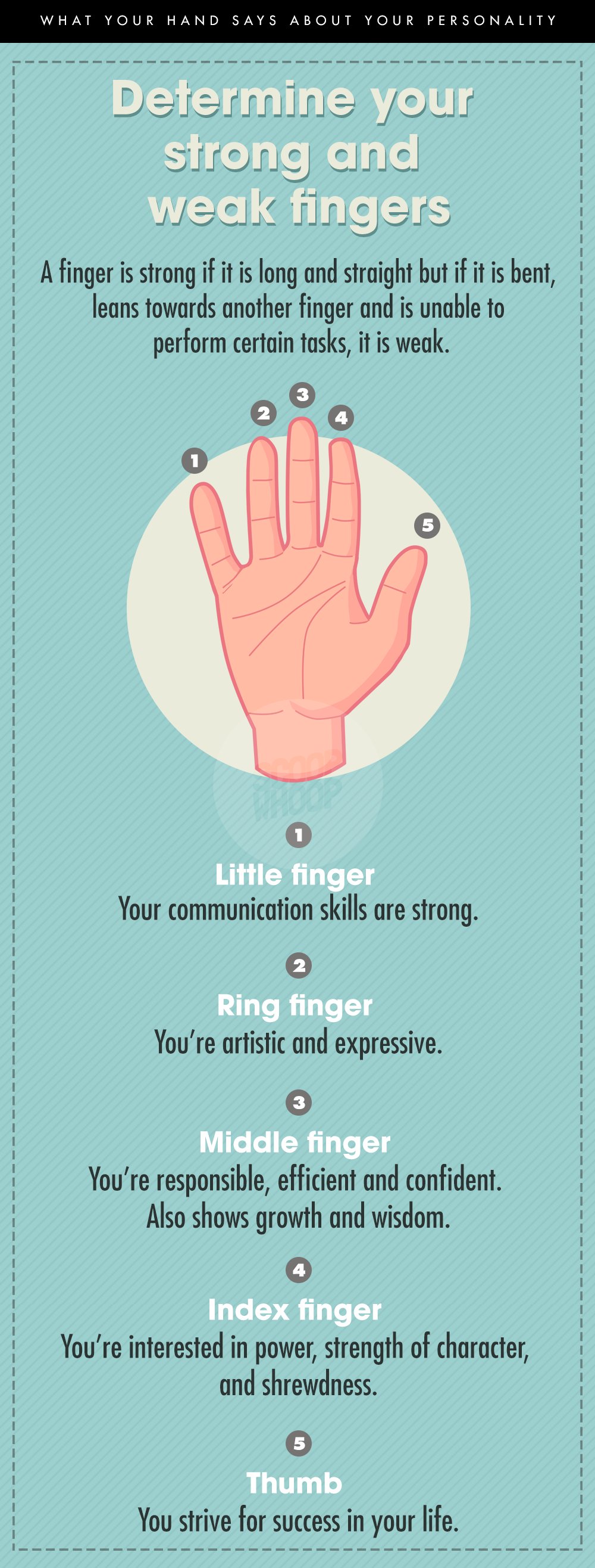 Hand Shape Personality Test: Your Hands Reveal Your True Personality Traits