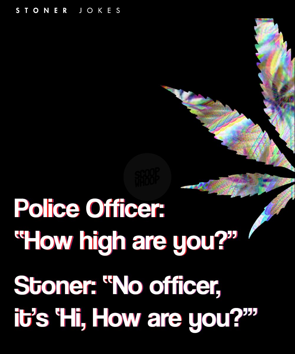 20 Best Weed Jokes | Funny Jokes on Stoners Youll Get When High