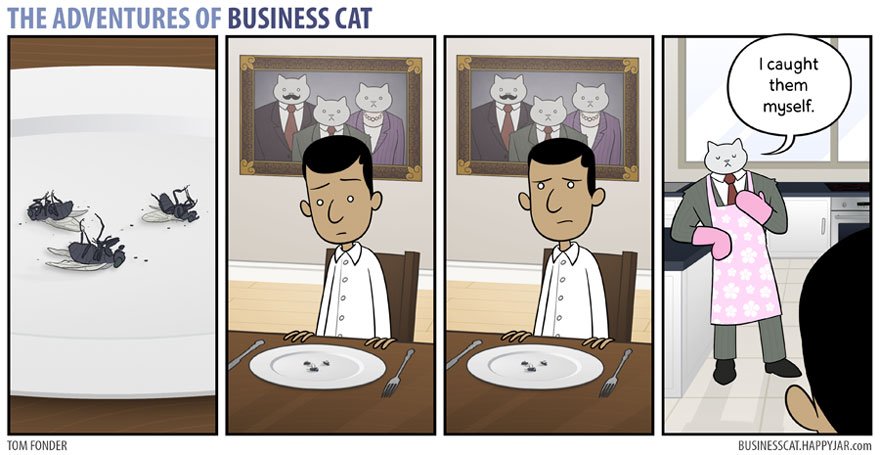If Boss Were A Cat, This Is What Your Life In Would've Like