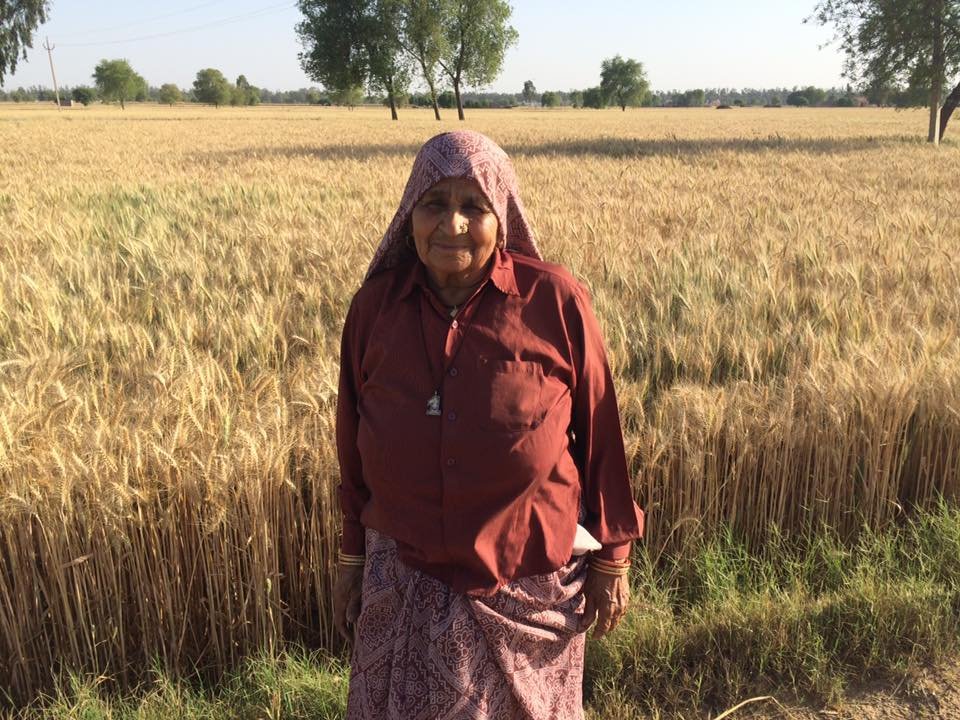 Meet Revolver Dadi, The 84-Year-Old Who Is World's Oldest Sharpshooter With  25 National Medals - ScoopWhoop