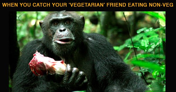 Apparently, 1 Out Of 3 Vegetarians Ends Up Eating Meat After Getting Bhand  On Daaru