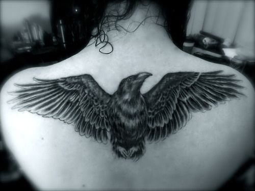 Can Divit  Erkenci KusEarly Bird  Cool small tattoos Eagle tattoos  Cóndor tattoo