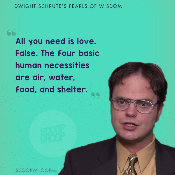 19 Quotes By Dwight Schrute From The Office That Prove You Don't Have To  Make Sense To Be Right
