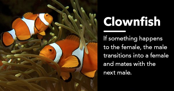 18 Weird Animal Mating Rituals That Give A Whole New Meaning To Wild Sex