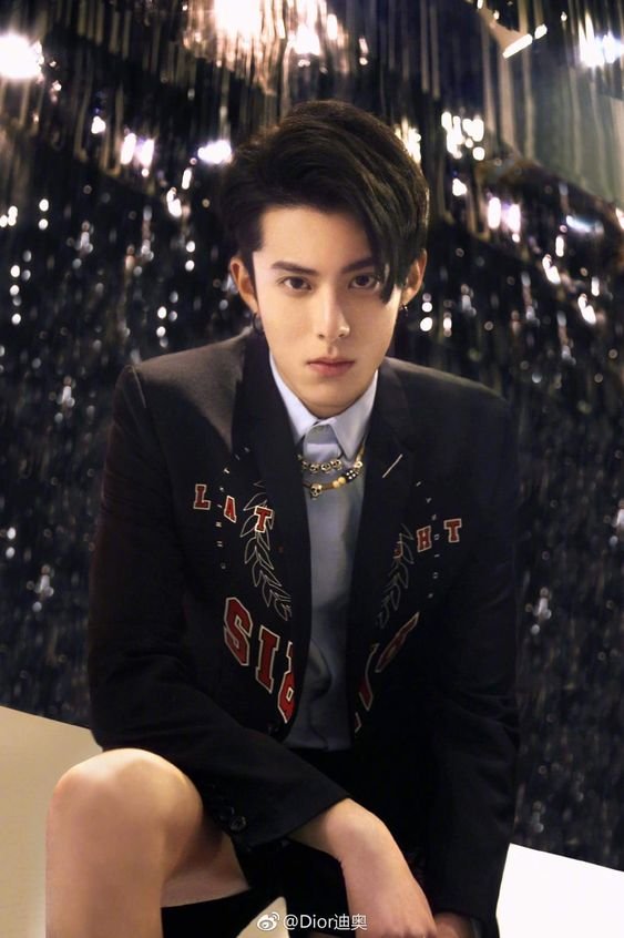 Dylan Wang, Bad boy song, Meteor Garden