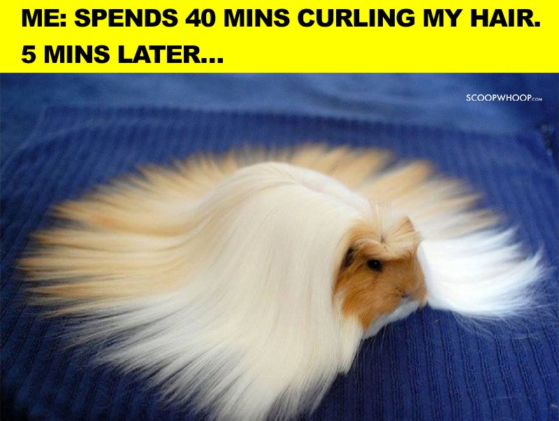 12 Memes About People With Straight Hair Who Understand Managing Them Is A  Twisted Task