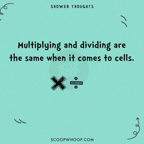 20 Random Shower Thoughts That Will Make You Rethink The World As We