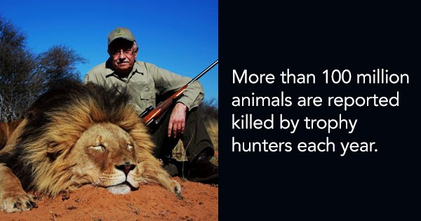 8 Shocking Facts About Trophy Hunting That Prove Why The Barbaric 'Sport'  Needs To Go