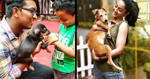 15 Animal NGOs Your City To Volunteer With For The Love Of Animals