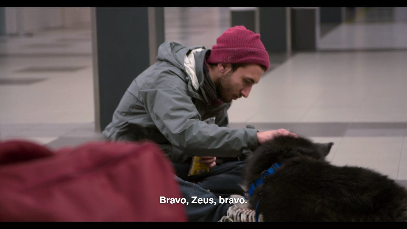 Dogs netflix best sale bravo zeus