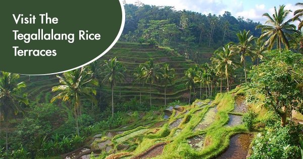 15 Things You Should Definitely Try And Do If You Are Vacationing In Bali