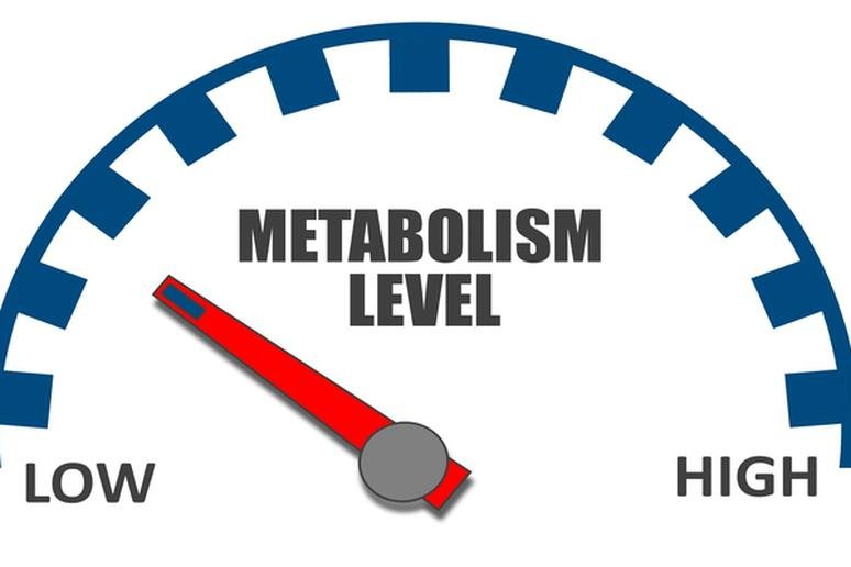 A New Study Claims That Skipping Breakfast Promotes Weight Loss
