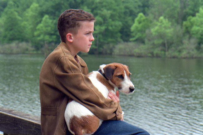 17 Movies To Watch If You're Somebody Who Loves Animals More Than Hoomans