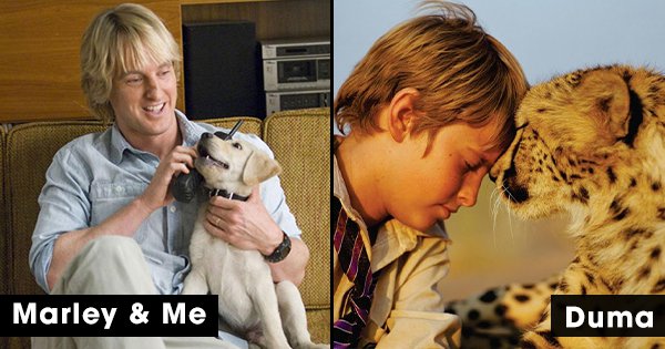 17 Movies To Watch If You're Somebody Who Loves Animals More Than Hoomans
